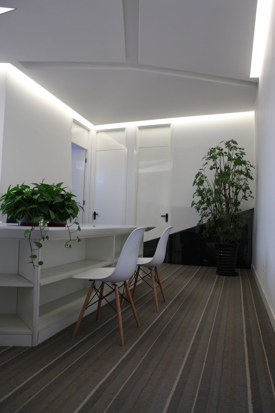 上海辦公室裝修公司綠植擺放設計-第3張圖片-上海古都建筑設計集團 上海辦公室裝修公司綠植擺放設計-第3張圖片-上海古都建筑設計集團