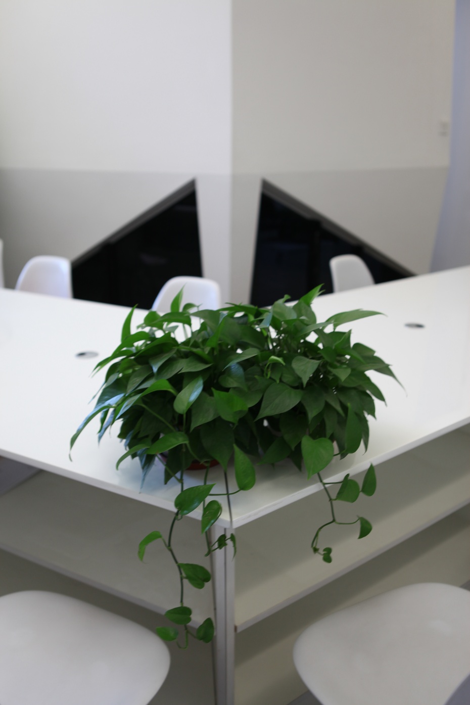 嘉定區(qū)小清新辦公室裝修設(shè)計(jì)案例-第6張圖片-上海古都建筑設(shè)計(jì)集團(tuán) 嘉定區(qū)小清新辦公室裝修設(shè)計(jì)案例-第6張圖片-上海古都建筑設(shè)計(jì)集團(tuán)