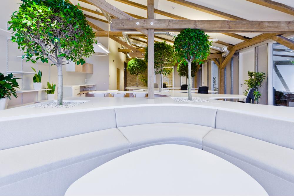 Greenhouse 辦公室裝修設計-第2張圖片-上海古都建筑設計集團 Greenhouse 辦公室裝修設計-第2張圖片-上海古都建筑設計集團