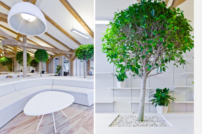 Greenhouse 辦公室裝修設計-第9張圖片-上海古都建筑設計集團 Greenhouse 辦公室裝修設計-第9張圖片-上海古都建筑設計集團