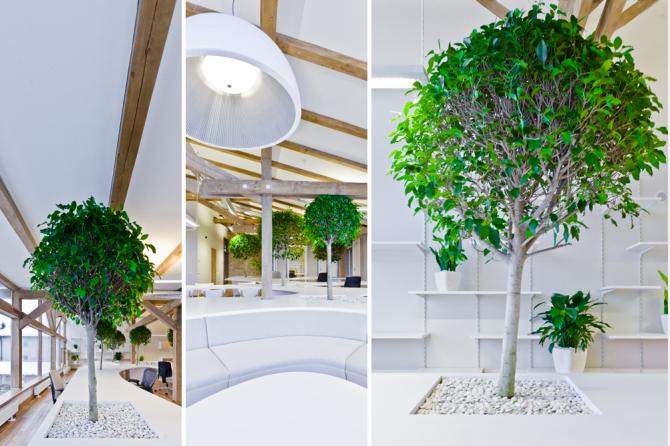 Greenhouse 辦公室裝修設計-第7張圖片-上海古都建筑設計集團 Greenhouse 辦公室裝修設計-第7張圖片-上海古都建筑設計集團